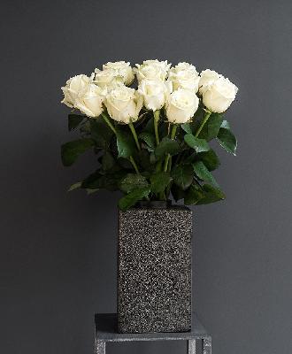 Роза Россия 25 шт - Белый